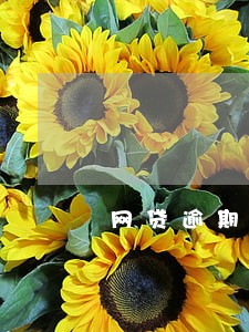 网贷逾期上征信告知吗 网贷逾期上征信告知吗