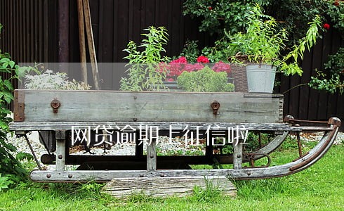 网贷逾期上征信啦 网贷逾期上征信啦