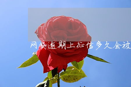 网贷逾期上征信多久会被起诉 网贷逾期上征信多久会被起诉