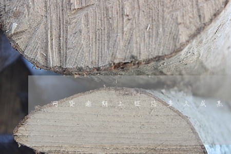 网贷逾期上征信多久成黑户 网贷逾期上征信多久成黑户