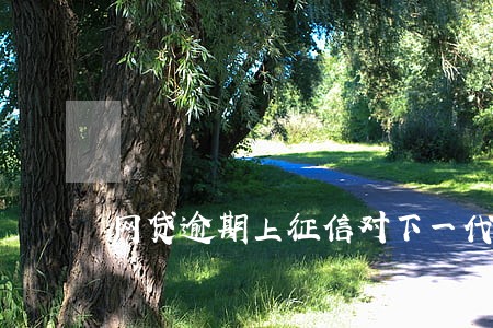 网贷逾期上征信对下一代买房 网贷逾期上征信对下一代买房