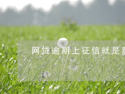 网贷逾期上征信就是黑名单吗 网贷逾期上征信就是黑名单吗