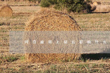 网贷逾期上征信影响什么 网贷逾期上征信影响什么