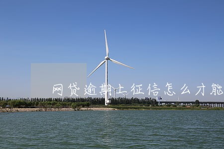 网贷逾期上征信怎么才能消除