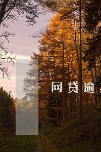 网贷逾期上征信怎么搞 网贷逾期上征信怎么搞
