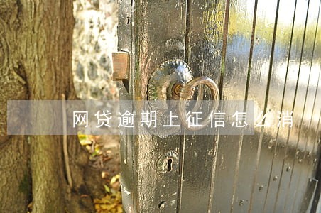 网贷逾期上征信怎么消