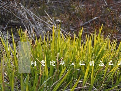 网贷逾期上征信怎么还款 网贷逾期上征信怎么还款