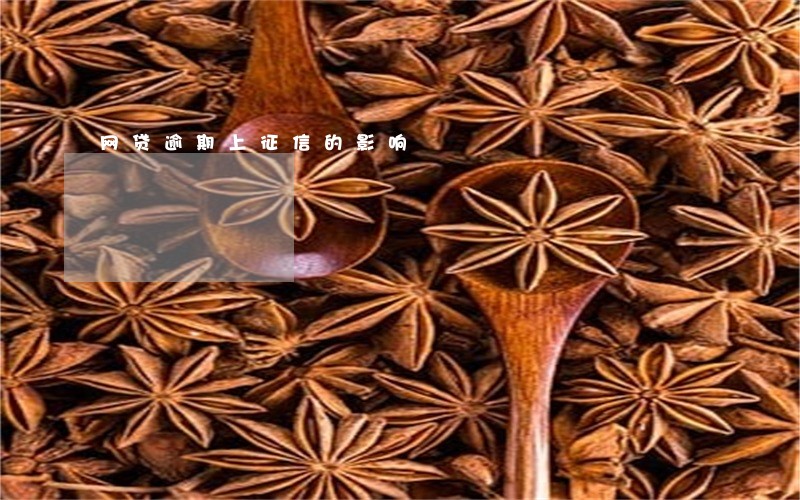 网贷逾期上征信的影响