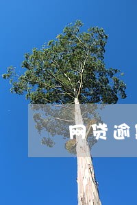 网贷逾期上征信的所有平台 网贷逾期上征信的所有平台