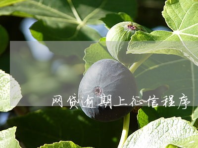 网贷逾期上征信程序 网贷逾期上征信程序