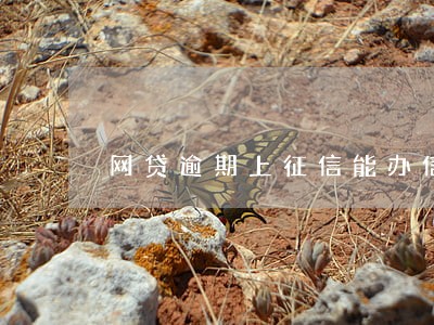 网贷逾期上征信能办信用卡吗