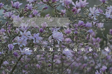 网贷逾期上征信能取消吗 网贷逾期上征信能取消吗