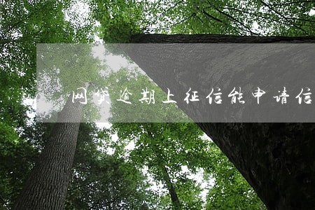 网贷逾期上征信能申请信用卡吗 网贷逾期上征信能申请信用卡吗