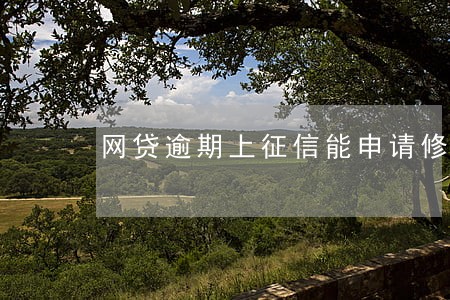 网贷逾期上征信能申请修复 网贷逾期上征信能申请修复