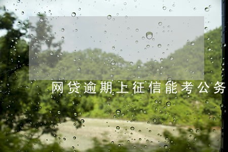 网贷逾期上征信能考公务员吗 网贷逾期上征信能考公务员吗