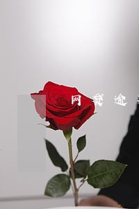 网贷逾期上征信记录 网贷逾期上征信记录