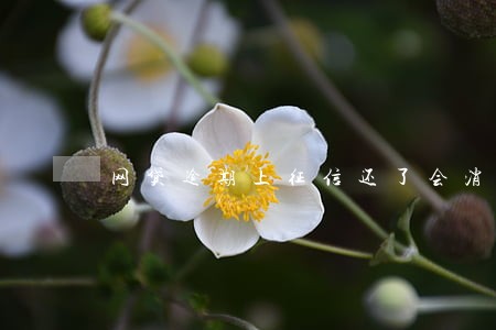 网贷逾期上征信还了会消么 网贷逾期上征信还了会消么