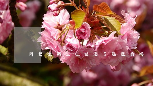 网贷逾期上征信还了能洗白吗 网贷逾期上征信还了能洗白吗