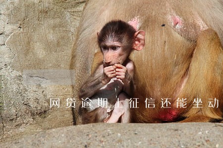 网贷逾期上征信还能坐动车吗 网贷逾期上征信还能坐动车吗