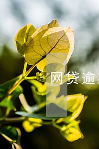 网贷逾期上征信连续9个月 网贷逾期上征信连续9个月