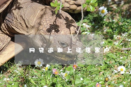 网贷逾期上征信黑户 网贷逾期上征信黑户