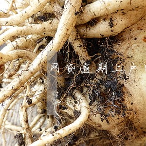 网贷逾期上户口 网贷逾期上户口
