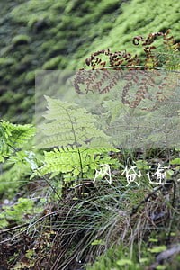 网贷逾期上报p2p 网贷逾期上报p2p