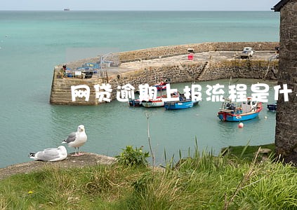 网贷逾期上报流程是什么意思 网贷逾期上报流程是什么意思