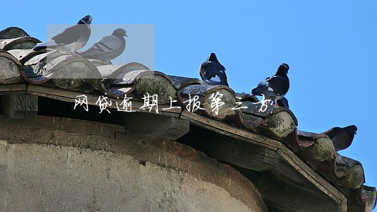 网贷逾期上报第三方 网贷逾期上报第三方
