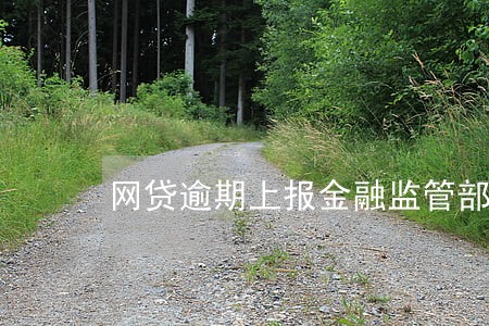 网贷逾期上报金融监管部门 网贷逾期上报金融监管部门