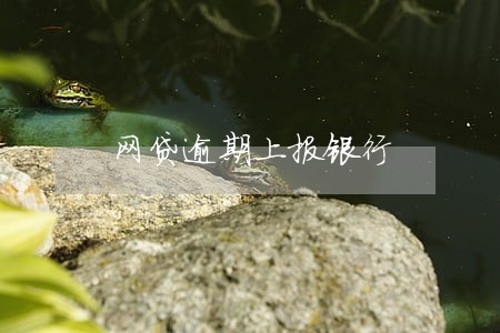 网贷逾期上报银行 网贷逾期上报银行