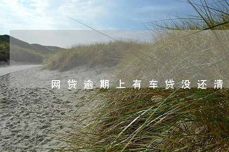 网贷逾期上有车贷没还清怎么办 网贷逾期上有车贷没还清怎么办