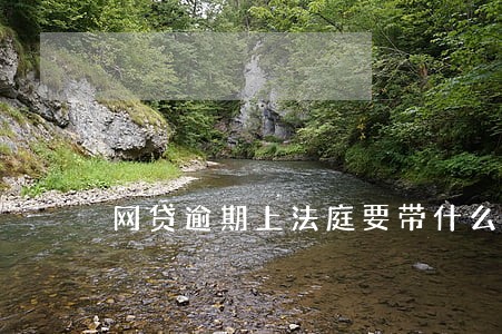 网贷逾期上法庭要带什么去
