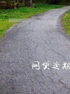 网贷逾期上法庭还用交滞纳金吗 网贷逾期上法庭还用交滞纳金吗