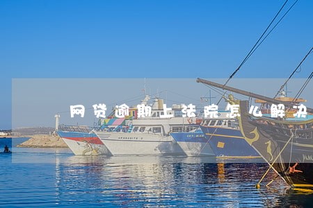 网贷逾期上法院怎么解决 网贷逾期上法院怎么解决