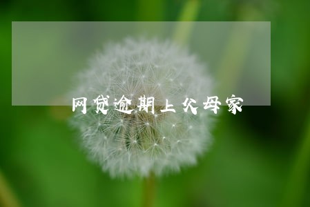 网贷逾期上父母家 网贷逾期上父母家