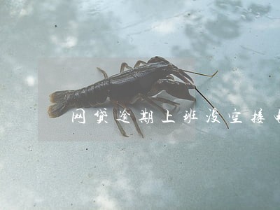 网贷逾期上班没空接电话 网贷逾期上班没空接电话