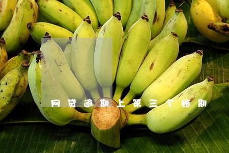 网贷逾期上第三个账期 网贷逾期上第三个账期