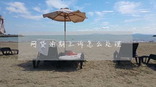 网贷逾期上诉怎么处理 网贷逾期上诉怎么处理