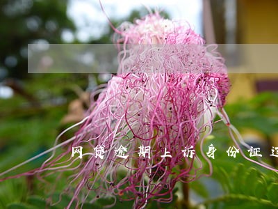 网贷逾期上诉身份证过期能补办吗 网贷逾期上诉身份证过期能补办吗