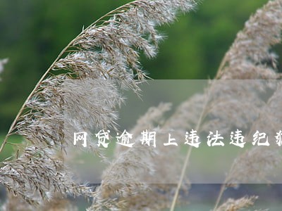 网贷逾期上违法违纪犯罪记录吗