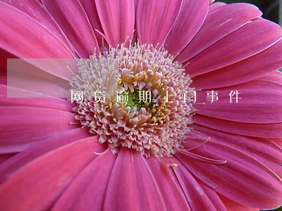 网贷逾期上门事件