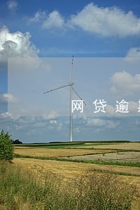 网贷逾期上门会暴力收款 网贷逾期上门会暴力收款