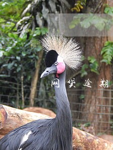 网贷逾期上门会通知吗 网贷逾期上门会通知吗