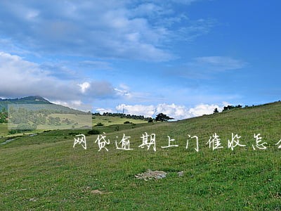 网贷逾期上门催收怎么解决 网贷逾期上门催收怎么解决