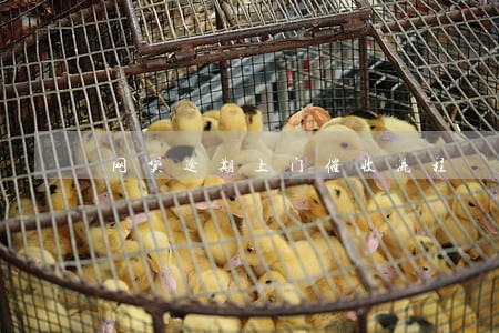 网贷逾期上门催收流程 网贷逾期上门催收流程