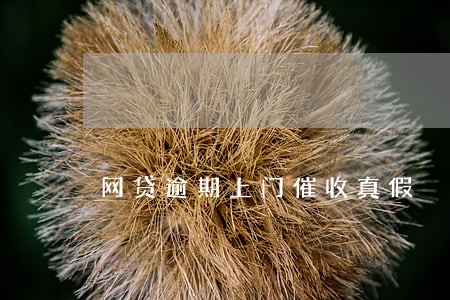 网贷逾期上门催收真假 网贷逾期上门催收真假