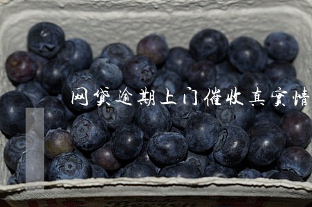 网贷逾期上门催收真实情况