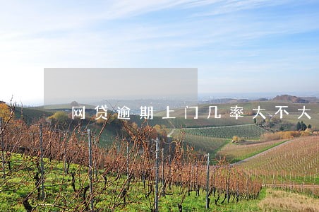网贷逾期上门几率大不大 网贷逾期上门几率大不大