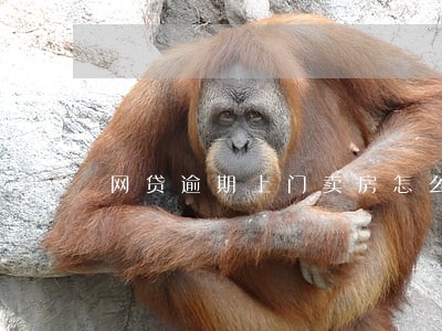 网贷逾期上门卖房怎么处理 网贷逾期上门卖房怎么处理